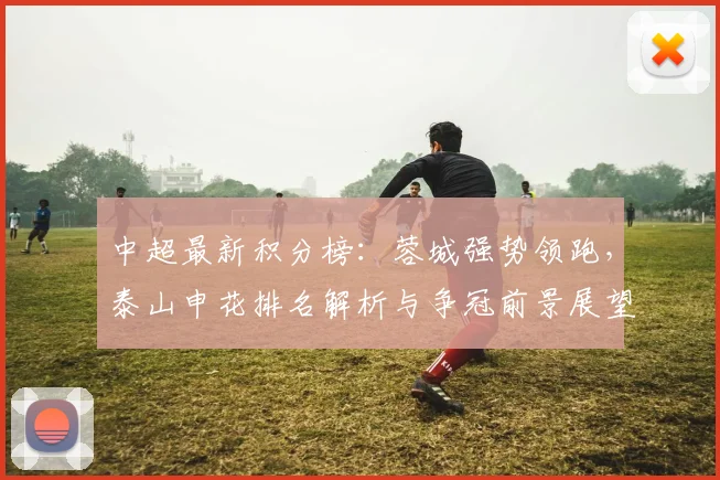 中超最新积分榜：蓉城强势领跑，泰山申花排名解析与争冠前景展望