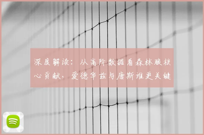 深度解读：从高阶数据看森林狼核心贡献，爱德华兹与唐斯谁更关键？