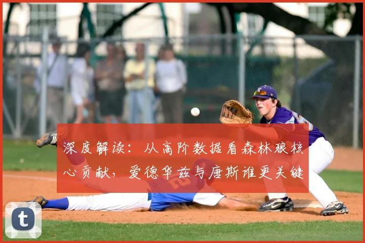 深度解读：从高阶数据看森林狼核心贡献，爱德华兹与唐斯谁更关键？